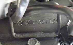 KAWASAKI NINJA 250R EX250K
