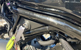 HONDA  REBEL 250 ABS MC49