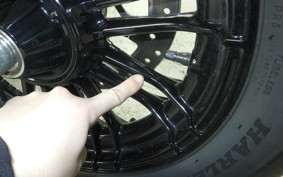 HARLEY XL1200XS 2020