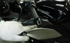 KAWASAKI NINJA 1000 SX 2024 ZXT02K