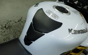 KAWASAKI ZX 1400 NINJA R A 2014