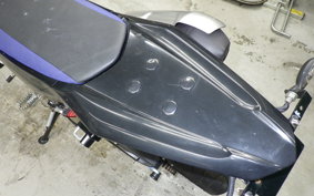 YAMAHA WR250X 2022 DG15J