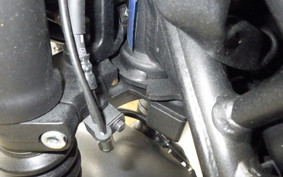 HONDA REBEL 250 S 2024 MC49