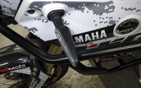 YAMAHA TENERE 700 2024 DM13J