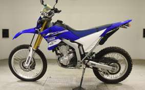 YAMAHA WR250R 2022 DG15J