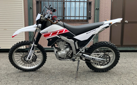 YAMAHA WR250R DG15J