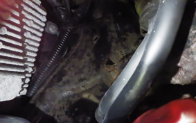 HONDA LEAD 125 2026 JF45