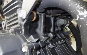 HONDA HORNET 250 MC31