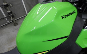 KAWASAKI NINJA 400 2018 EX400G