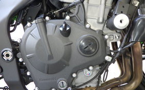 KAWASAKI ZX-4RR 2024 ZX400P