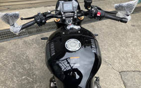 YAMAHA XSR900 2026 RN80J