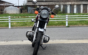 SUZUKI GSX250 GS25X