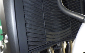 YAMAHA FZ1 FAZER 2009 RN21J