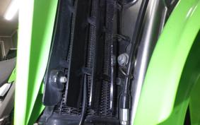 KAWASAKI KLX250 2016 LX250E