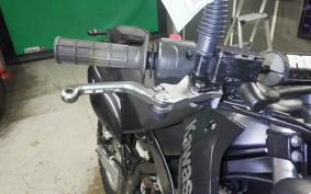 KAWASAKI KLX250 Gen.2 2018 LX250S