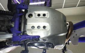 YAMAHA TT250R RAID 4GY