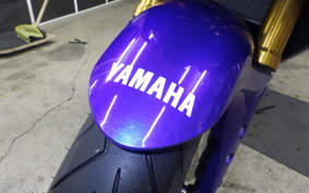 YAMAHA YZF R-3 2019 RH13J