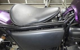 KAWASAKI 250TR 2024 BJ250F