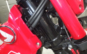HONDA CT125 HUNTER CUB 1992 JA55