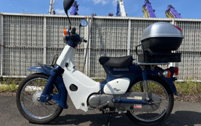 HONDA SUPER CUB50 C50