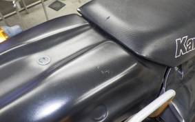 KAWASAKI KLX250 2025 LX250E