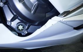 SUZUKI HAYABUSA Gen.3 2022 EJ11A
