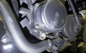 HONDA HORNET 250 MC31