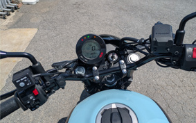 KAWASAKI ELIMINATOR 400SE 2024 EL400A