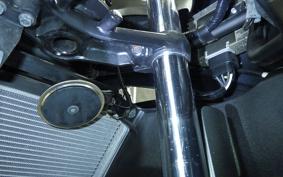KAWASAKI NINJA 250 EX250L