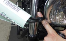 HARLEY XL883N 2021