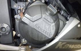KAWASAKI NINJA 300 2013