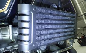 KAWASAKI ZEPHYR 750 2026