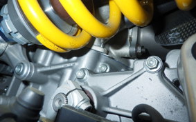 DUCATI 1299 PANIGALE R 2017