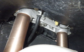 SUZUKI HAYABUSA Gen.2