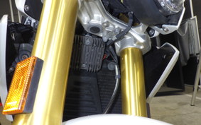 BMW G310R 2017