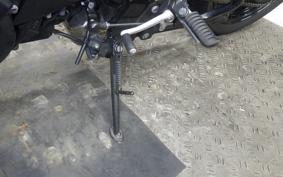 KAWASAKI Z900RS 2024 ZR900K