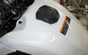 YAMAHA TENERE 700 2020 DM09J