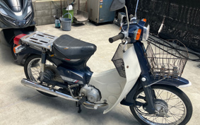 HONDA SUPER CUB 70 C70