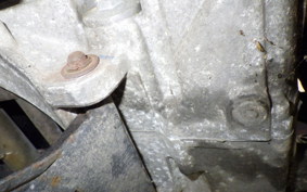 HONDA TODAY 2024 AF61