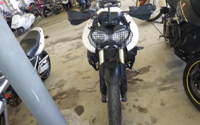 TRIUMPH TIGER800(ショルイナ