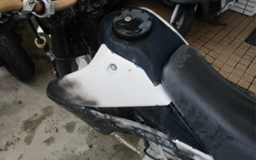 KAWASAKI KLX125D TRACKER X LX250V