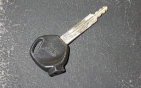 HONDA CREA SCOOPY 1986 AF55