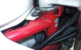 HONDA VTRF250 2024 MC33