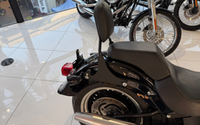 HARLEY FLSTFB 2010 JN5