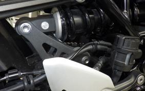 KAWASAKI Z900RS 2024 ZR900K