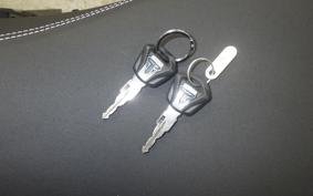 TRIUMPH TIGER 900 RALLY PRO 2022