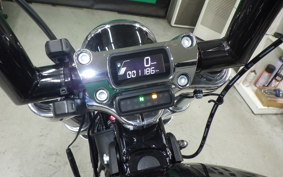 HARLEY FXST1750 2024