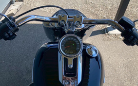 HARLEY FLFBS 2022 YGK