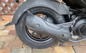 HONDA ZOOMER-X JF52