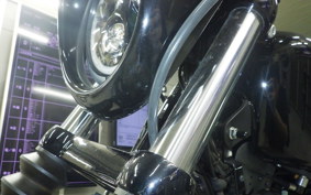 HARLEY XL1200NS 2018